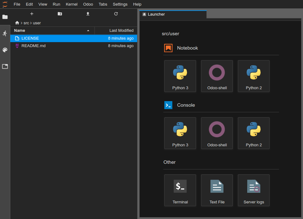 first_module/firstmodule-development-editor-interface.png